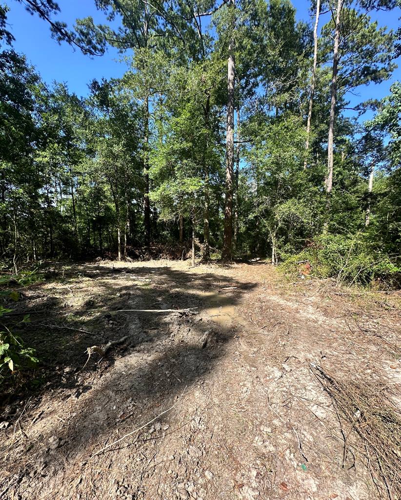 TBD Caleb Lane, Springfield, LA 70462