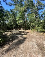 TBD Caleb Lane, Springfield, LA 70462