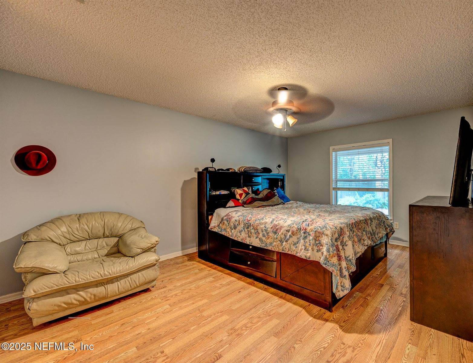 342 Turtle Dove Drive, Orange Park, FL 32073