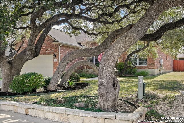 9810 Selbourne, San Antonio, TX 78251