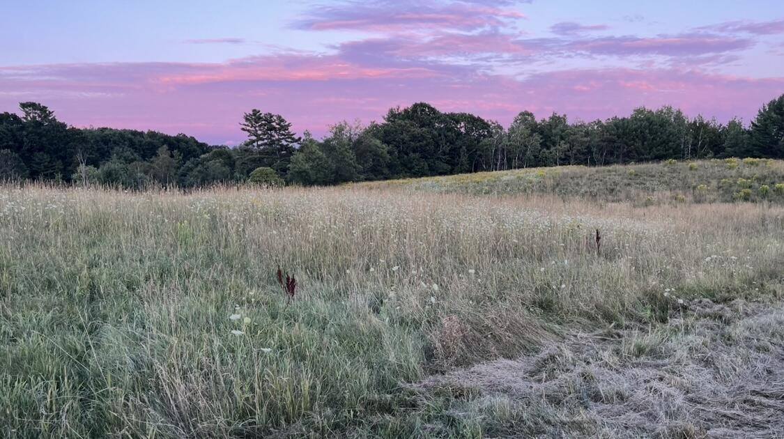 Tbd Main Street, Orono, ME 04473