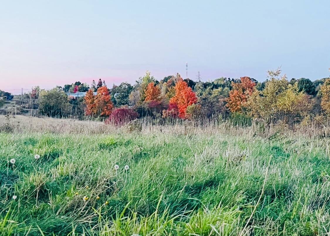 Tbd Main Street, Orono, ME 04473