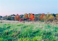 Tbd Main Street, Orono, ME 04473