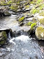 Tbd Main Street, Orono, ME 04473