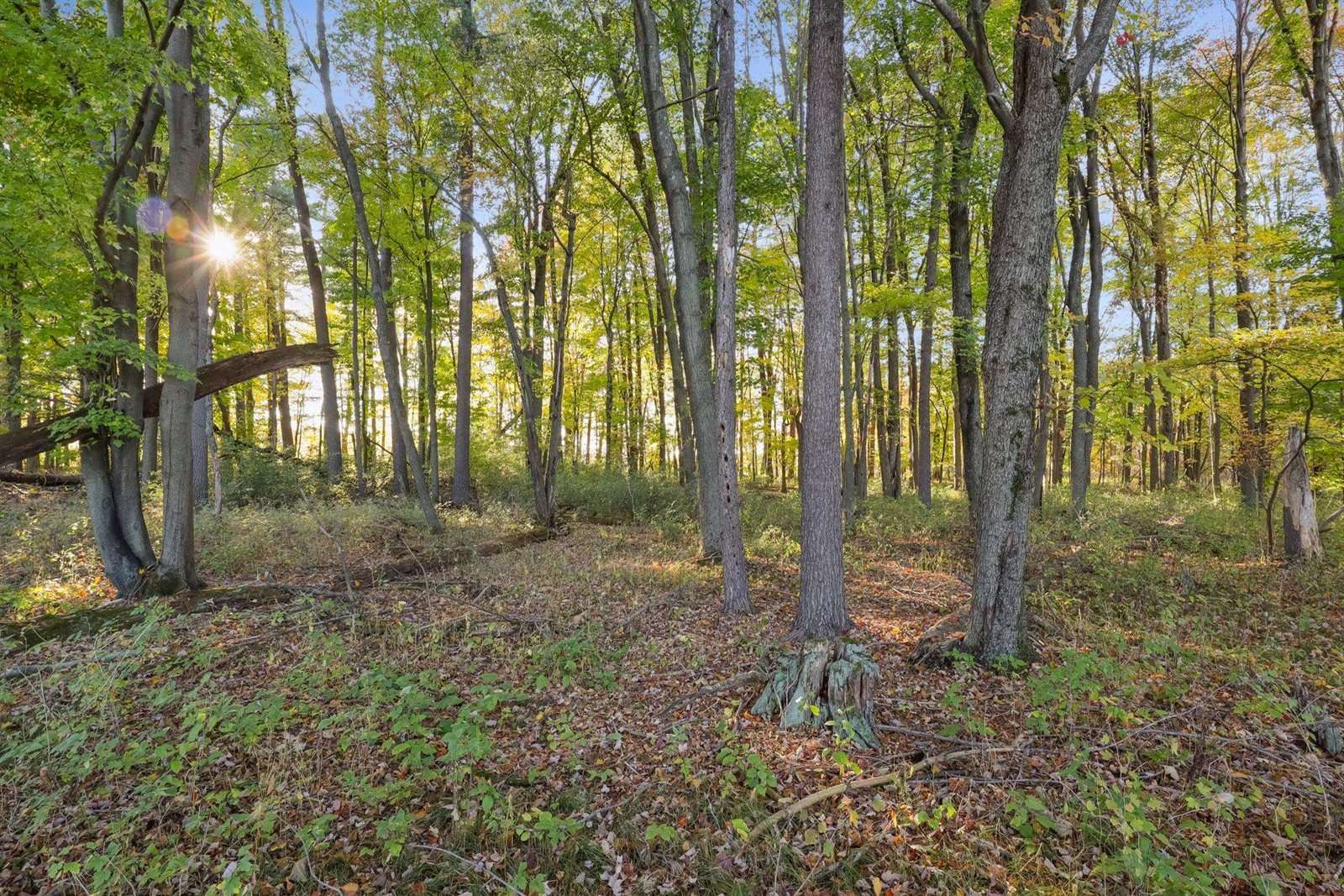 2100 Peninsula Place, Junction City, WI 54443