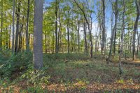 2100 Peninsula Place, Junction City, WI 54443