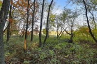 2100 Peninsula Place, Junction City, WI 54443