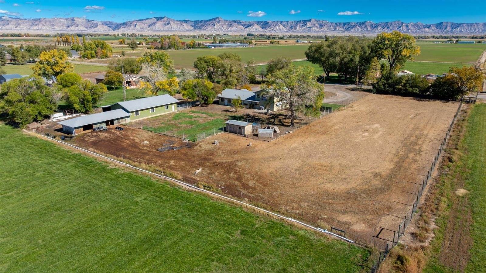 1175 20 Road, Fruita, CO 81521