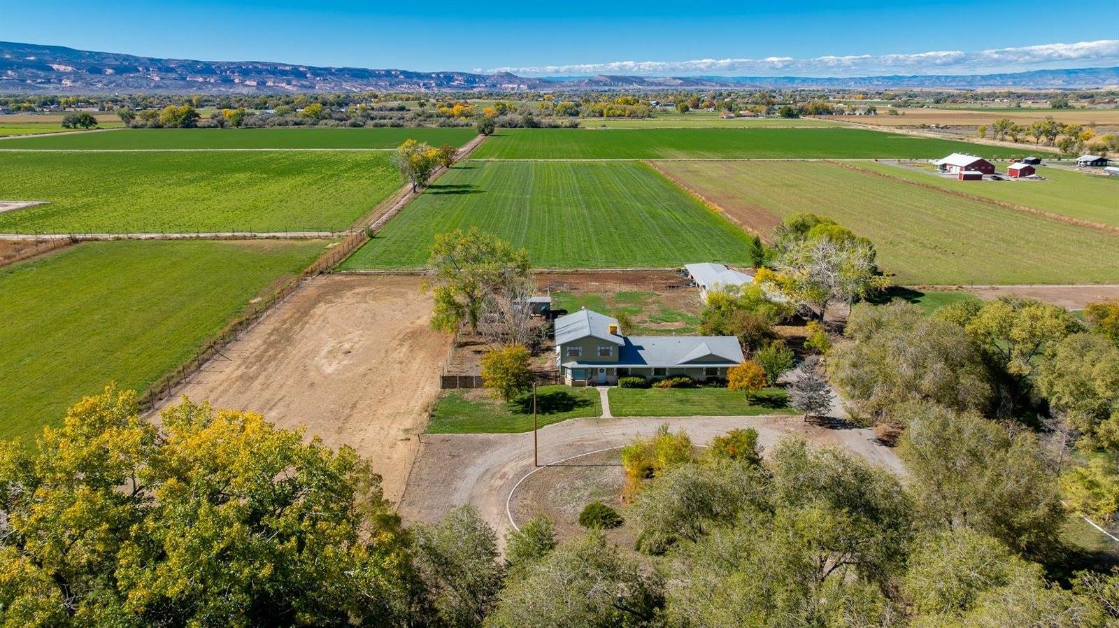 1175 20 Road, Fruita, CO 81521