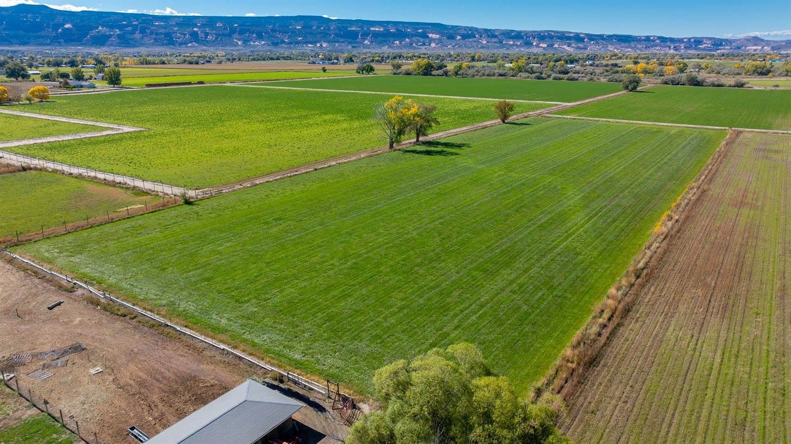 1175 20 Road, Fruita, CO 81521