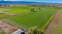 1175 20 Road, Fruita, CO 81521