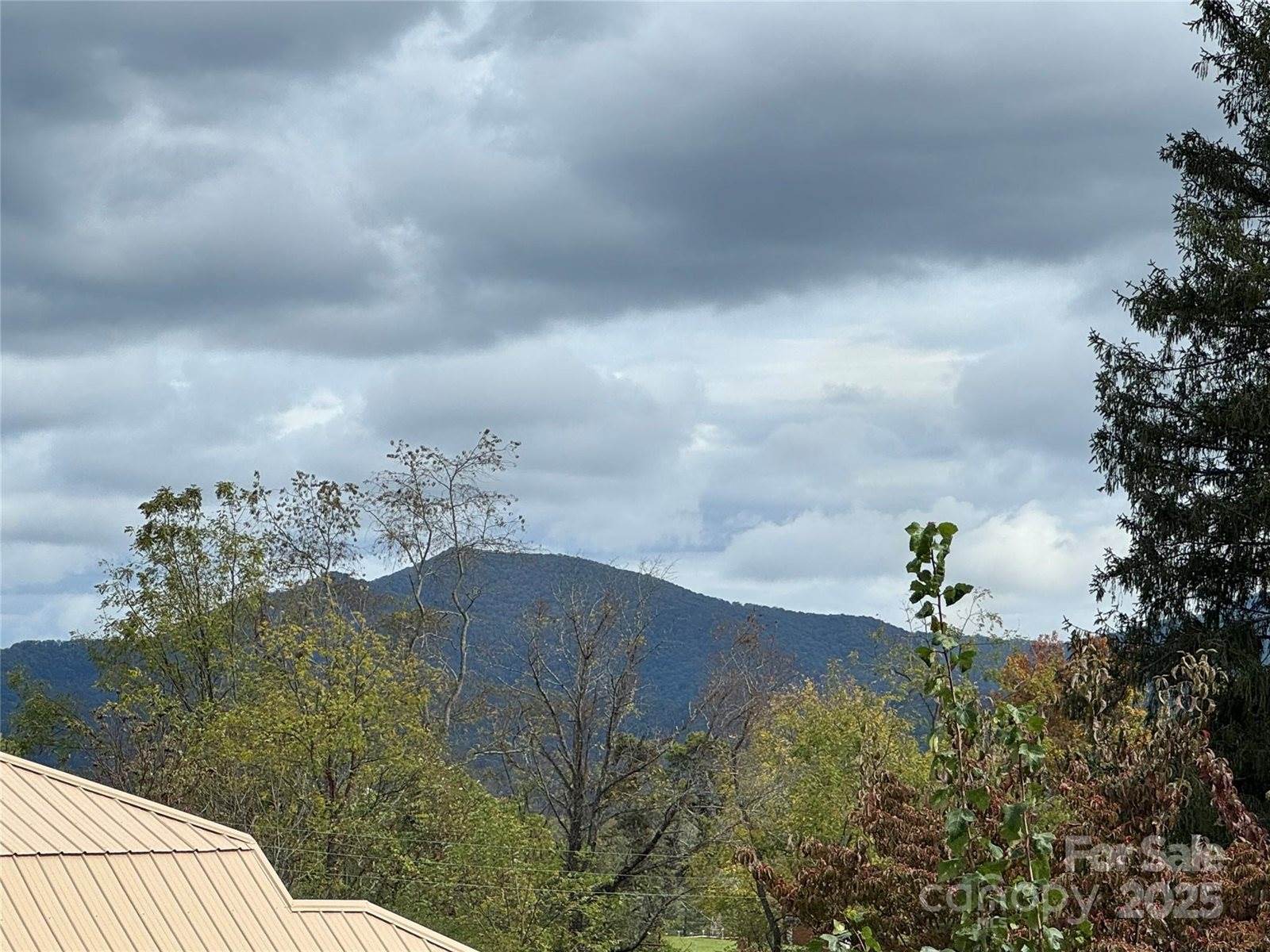 107 Thomas Street, Canton, NC 28716