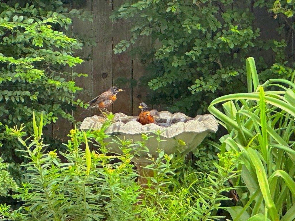 12803 Gaddy Road, Shawnee, OK 74804