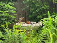 12803 Gaddy Road, Shawnee, OK 74804