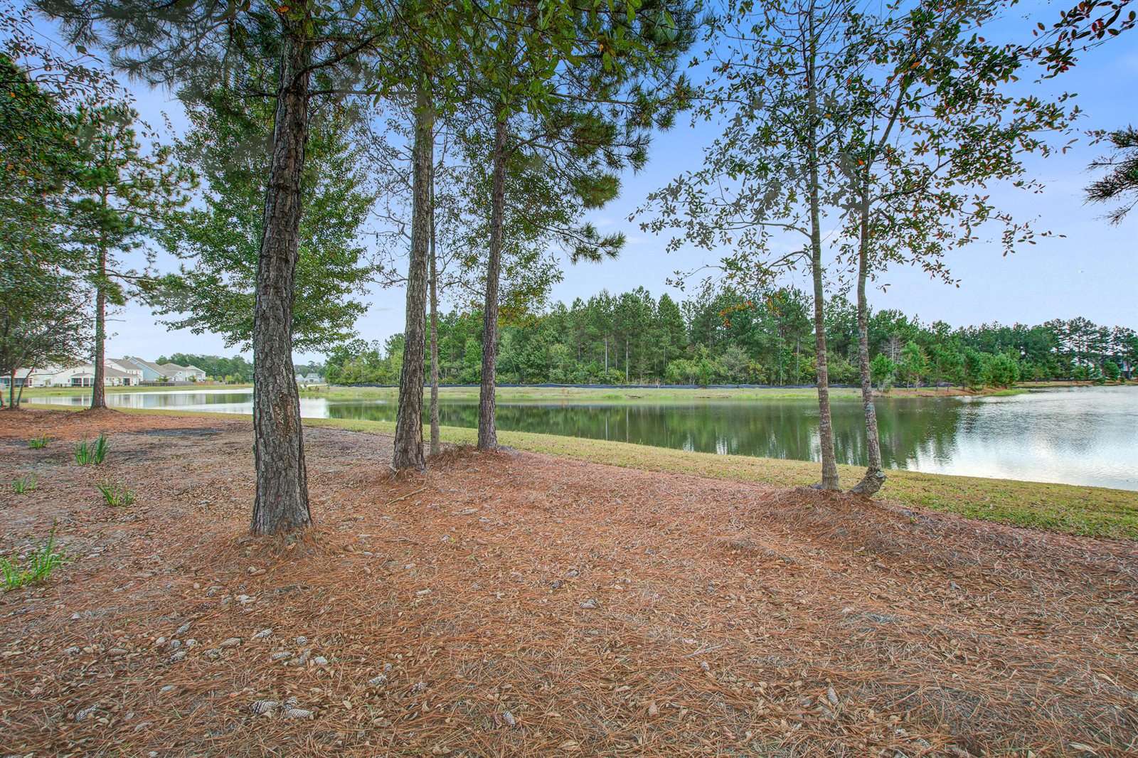 533 Fern Tree Drive, Summerville, SC 29486