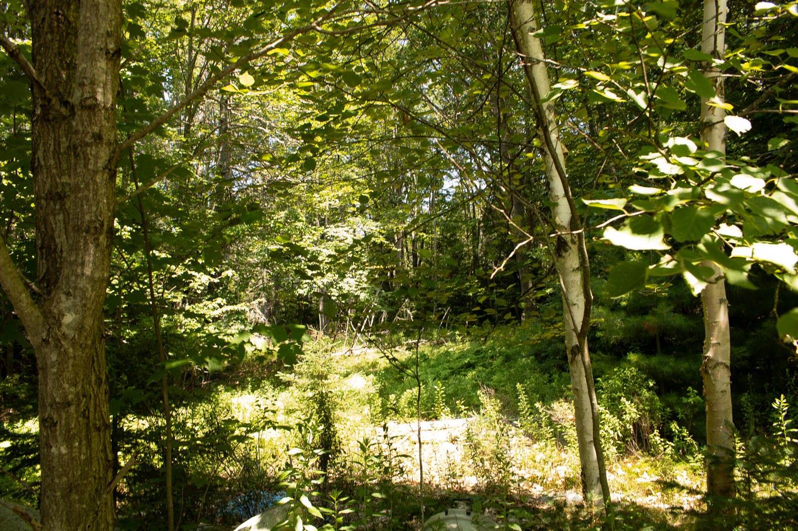 1916 US-1, Sullivan, ME 04664