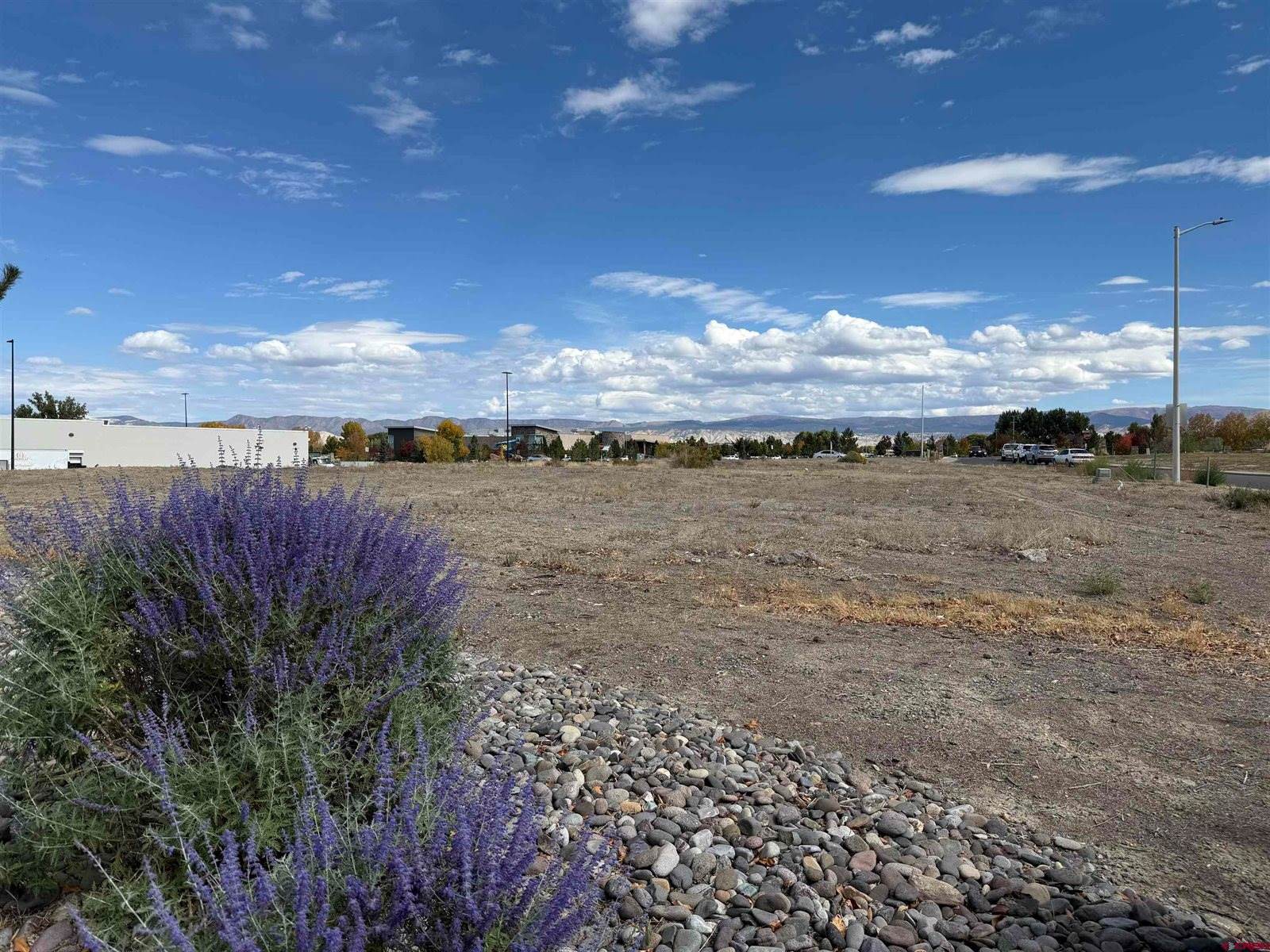 TBD Oxbow Drive, Montrose, CO 81401