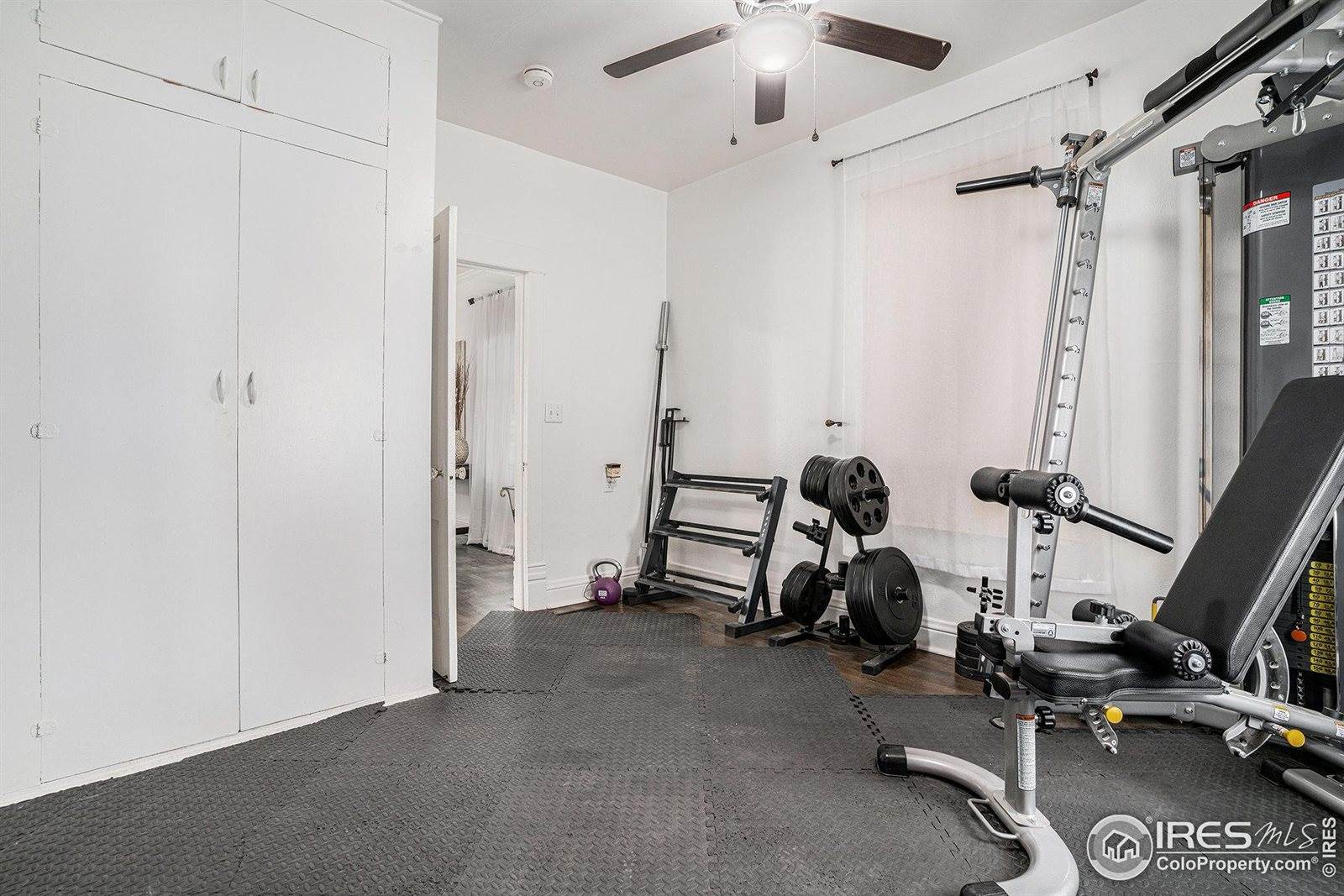 813 Walnut St, Windsor, CO 80550