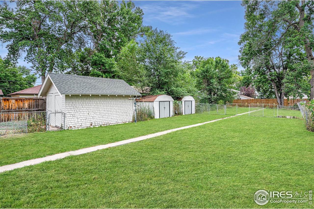 813 Walnut St, Windsor, CO 80550