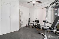 813 Walnut St, Windsor, CO 80550