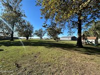 1308 Walnut Street, Golden City, MO 64748