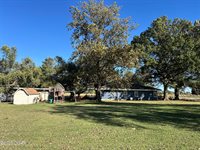 1308 Walnut Street, Golden City, MO 64748