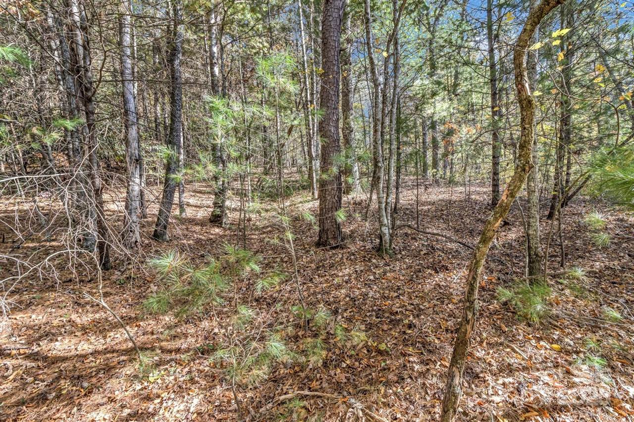 99999 Sharon Road, Fairview, NC 28730