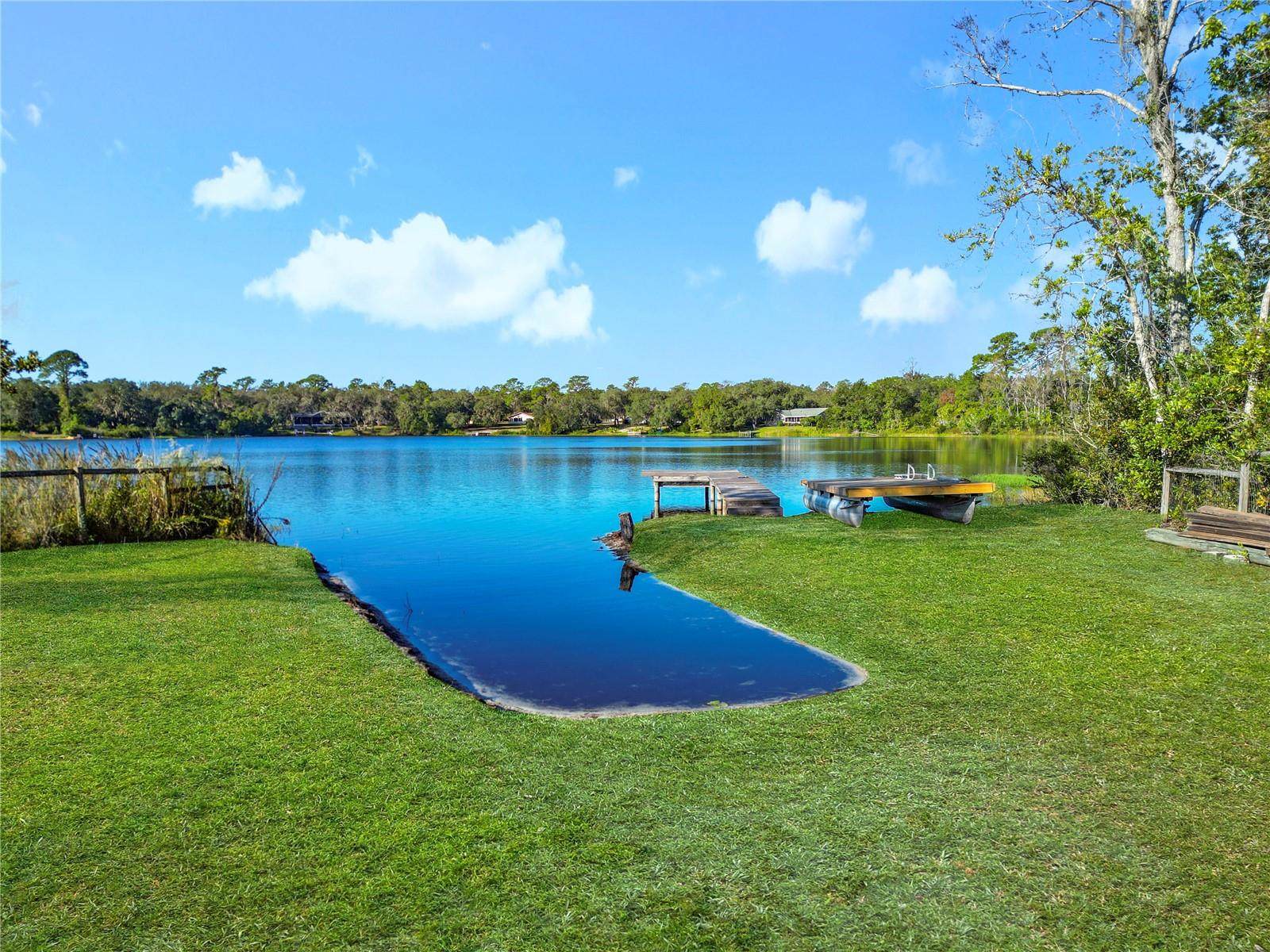 11740 SE 169th Avenue Road, Ocklawaha, FL 32179