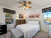 300 Lilys Way, Winchester, VA 22602