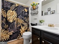 300 Lilys Way, Winchester, VA 22602