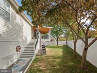 300 Lilys Way, Winchester, VA 22602