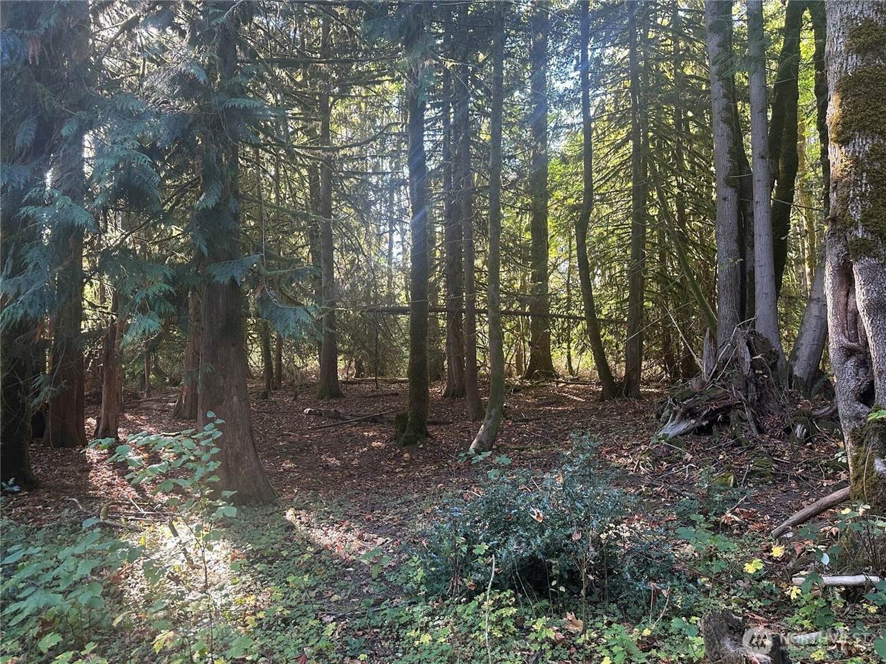 45450 State Route 20, Concrete, WA 98237