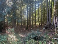 45450 State Route 20, Concrete, WA 98237