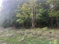 45450 State Route 20, Concrete, WA 98237