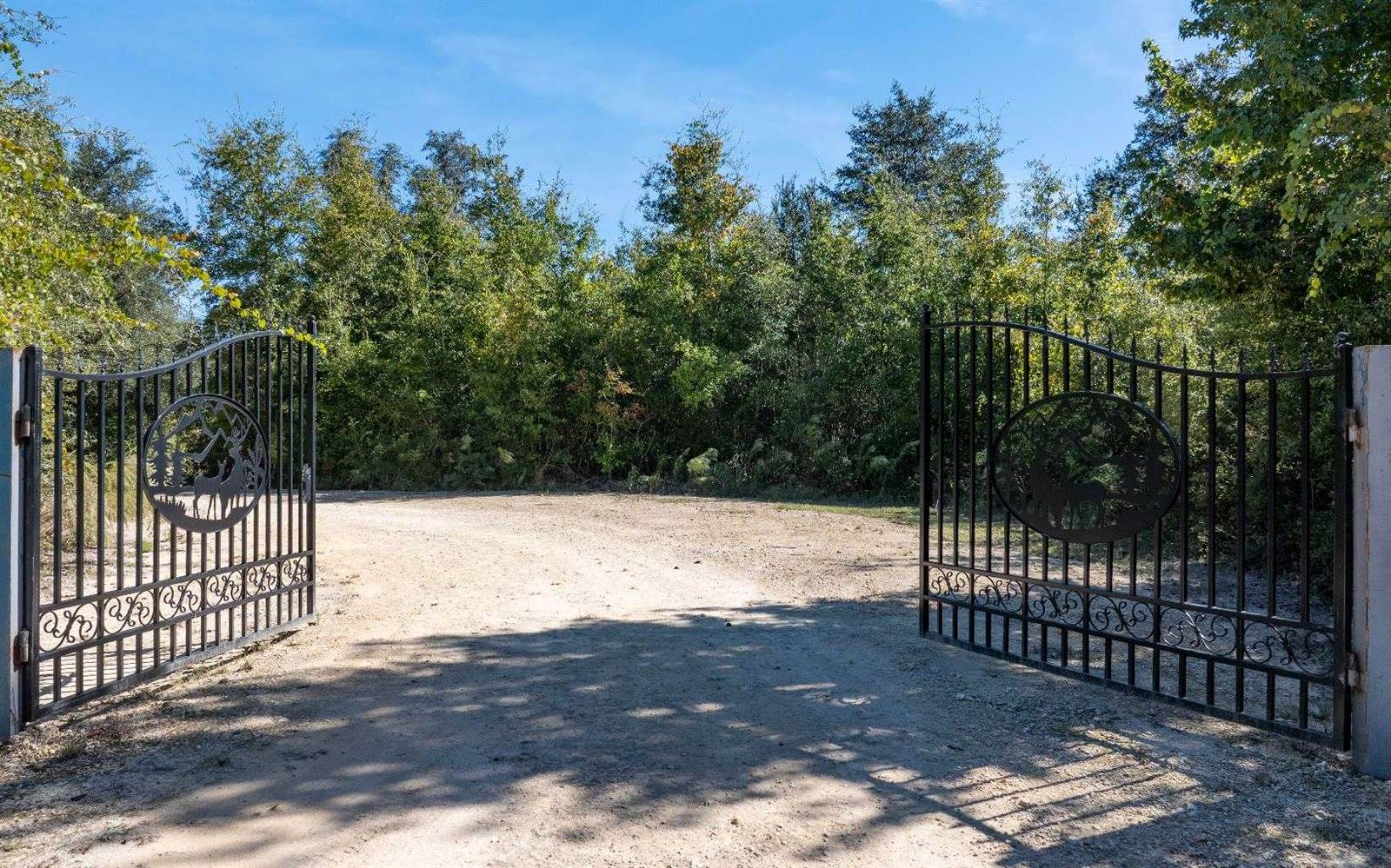 473 SW Richmond Way, Fort White, FL 32038