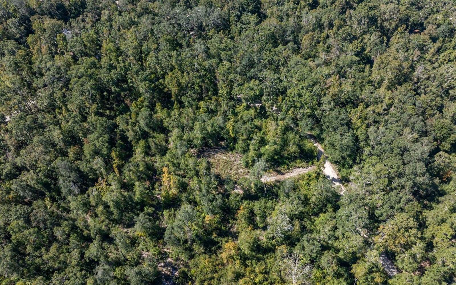 473 SW Richmond Way, Fort White, FL 32038