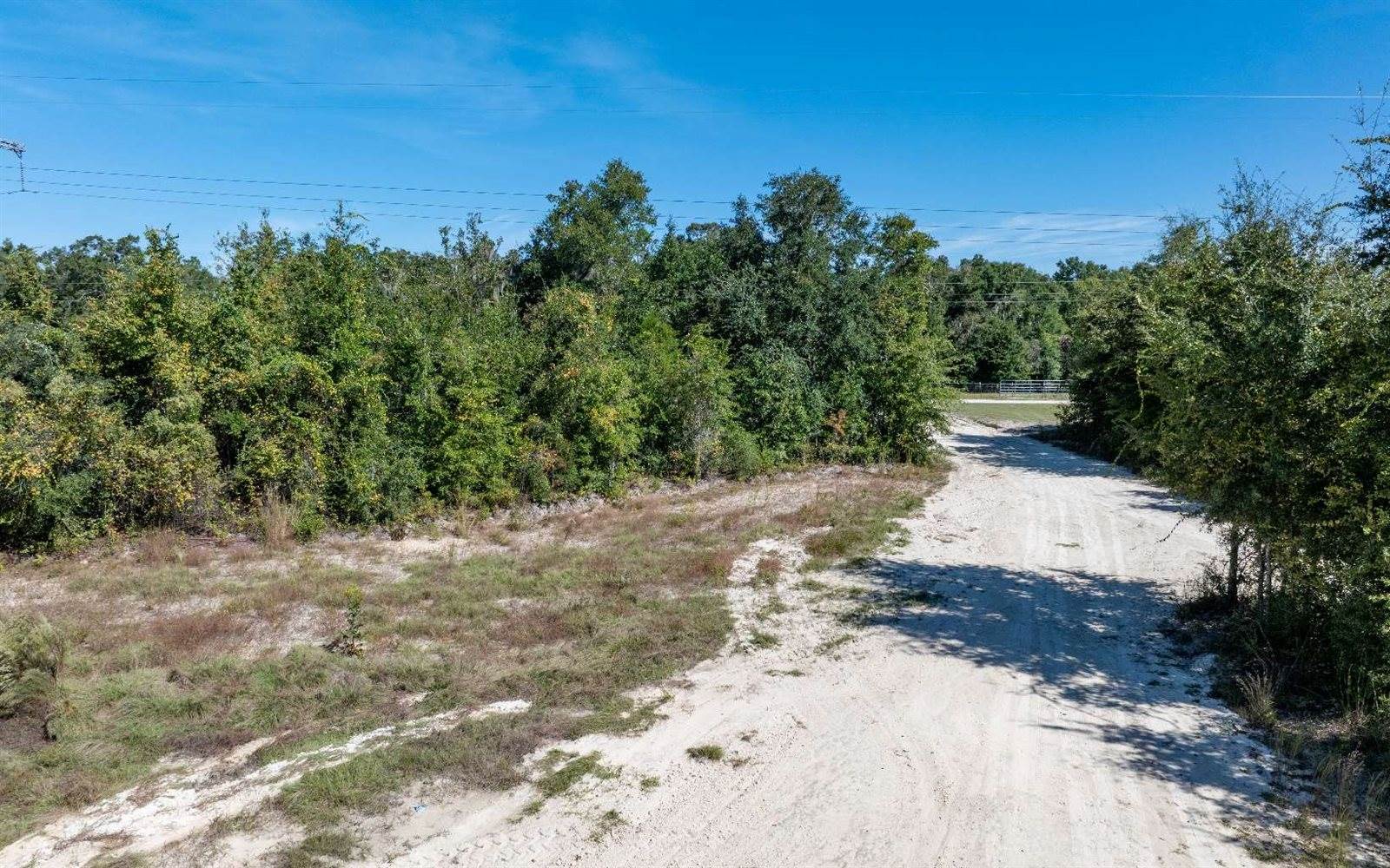 473 SW Richmond Way, Fort White, FL 32038