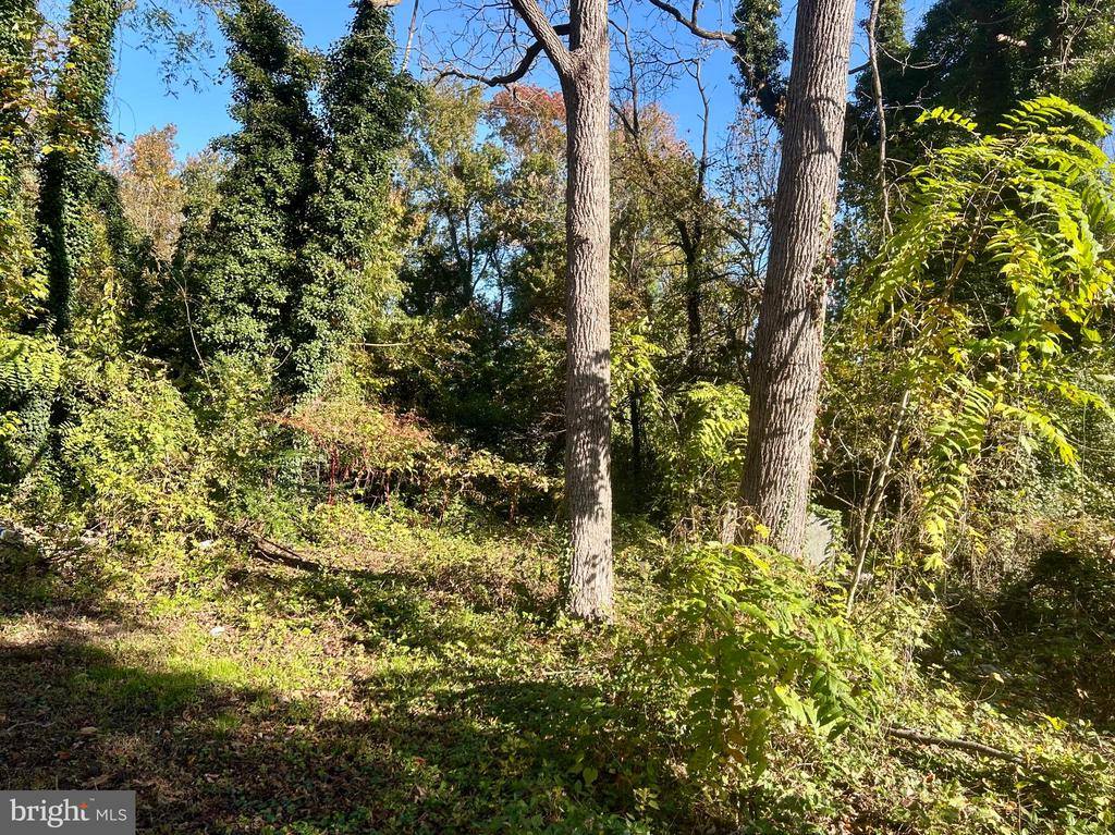 663 Voshells Mill Star Hill Road, Dover, DE 19901