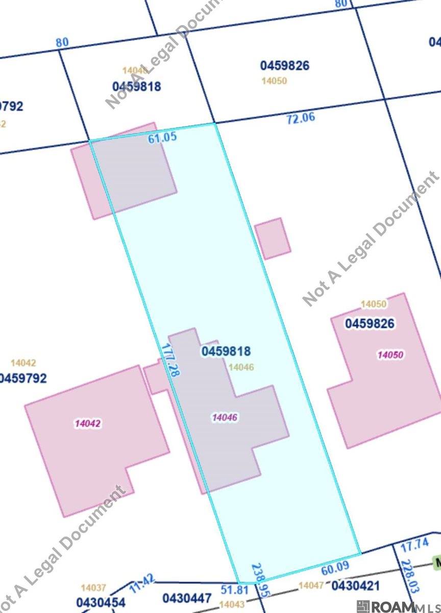 14046 Mill Settlement Trace, Denham Springs, LA 70726