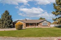 62201 Chu Chu Lane, Montrose, CO 81403