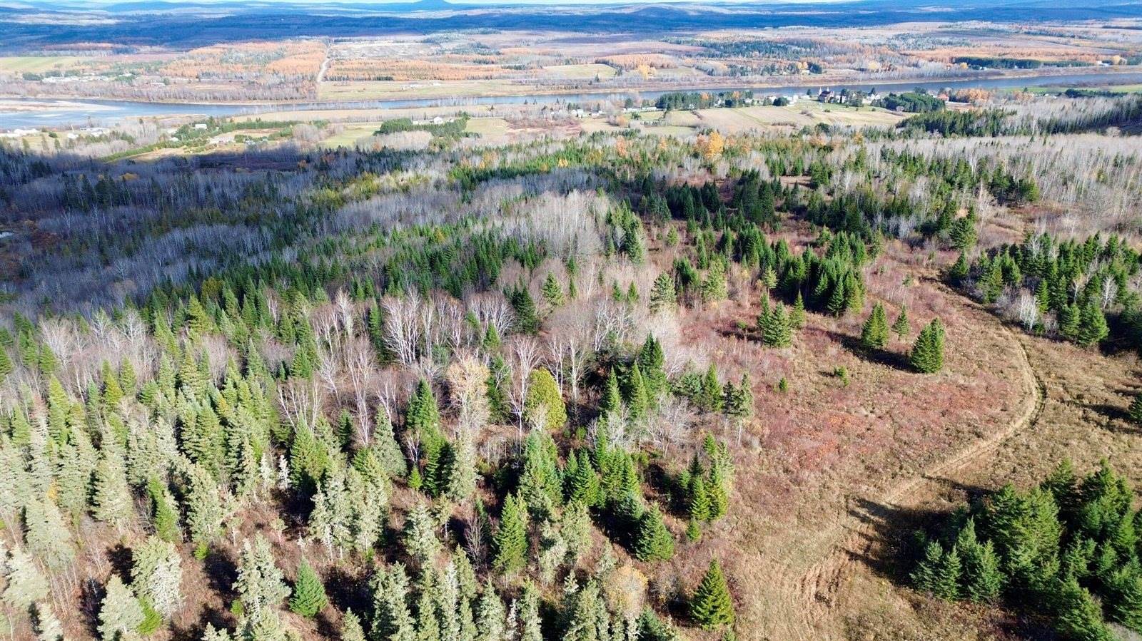 M45L10 Main Street, Grand Isle, ME 04746