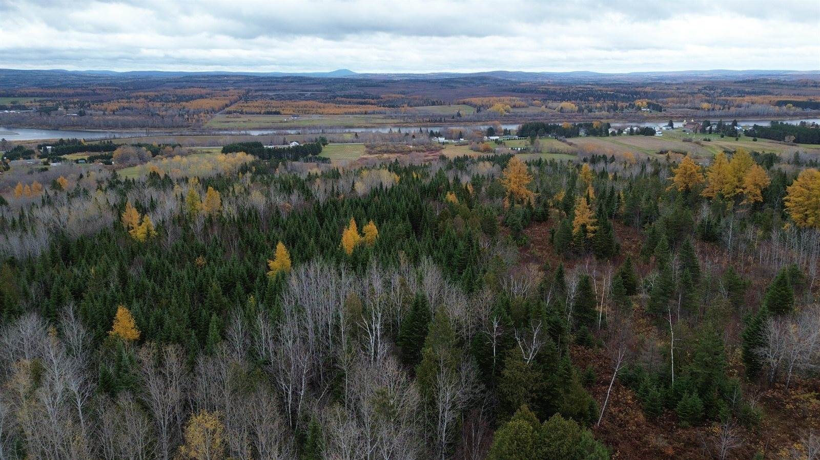 M45L10 Main Street, Grand Isle, ME 04746