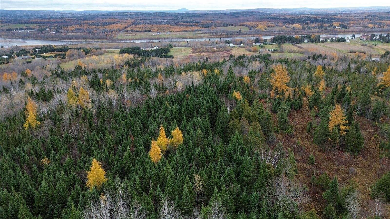 M45L10 Main Street, Grand Isle, ME 04746