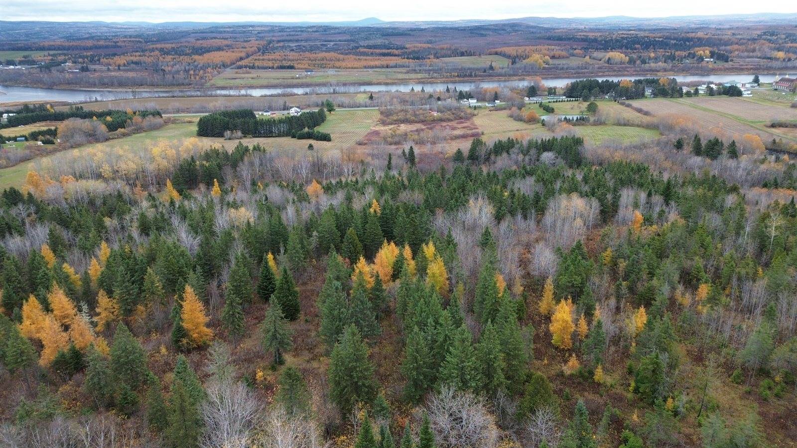 M45L10 Main Street, Grand Isle, ME 04746