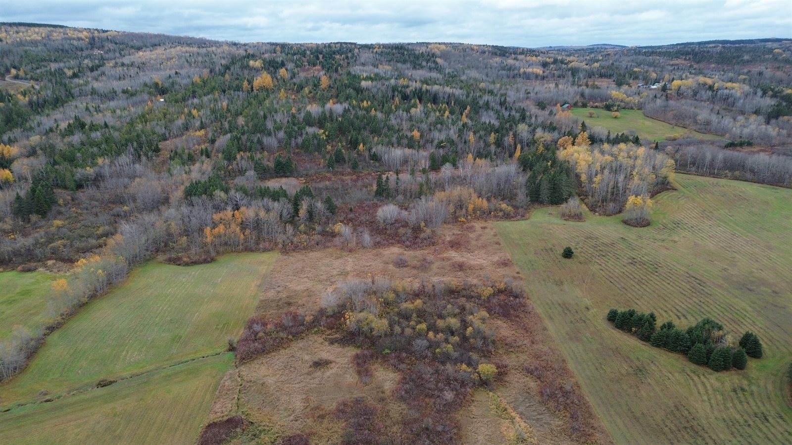 M45L10 Main Street, Grand Isle, ME 04746