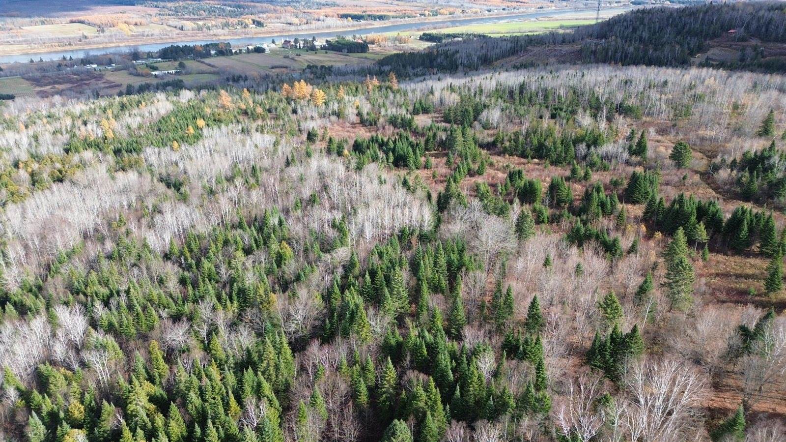 M45L10 Main Street, Grand Isle, ME 04746