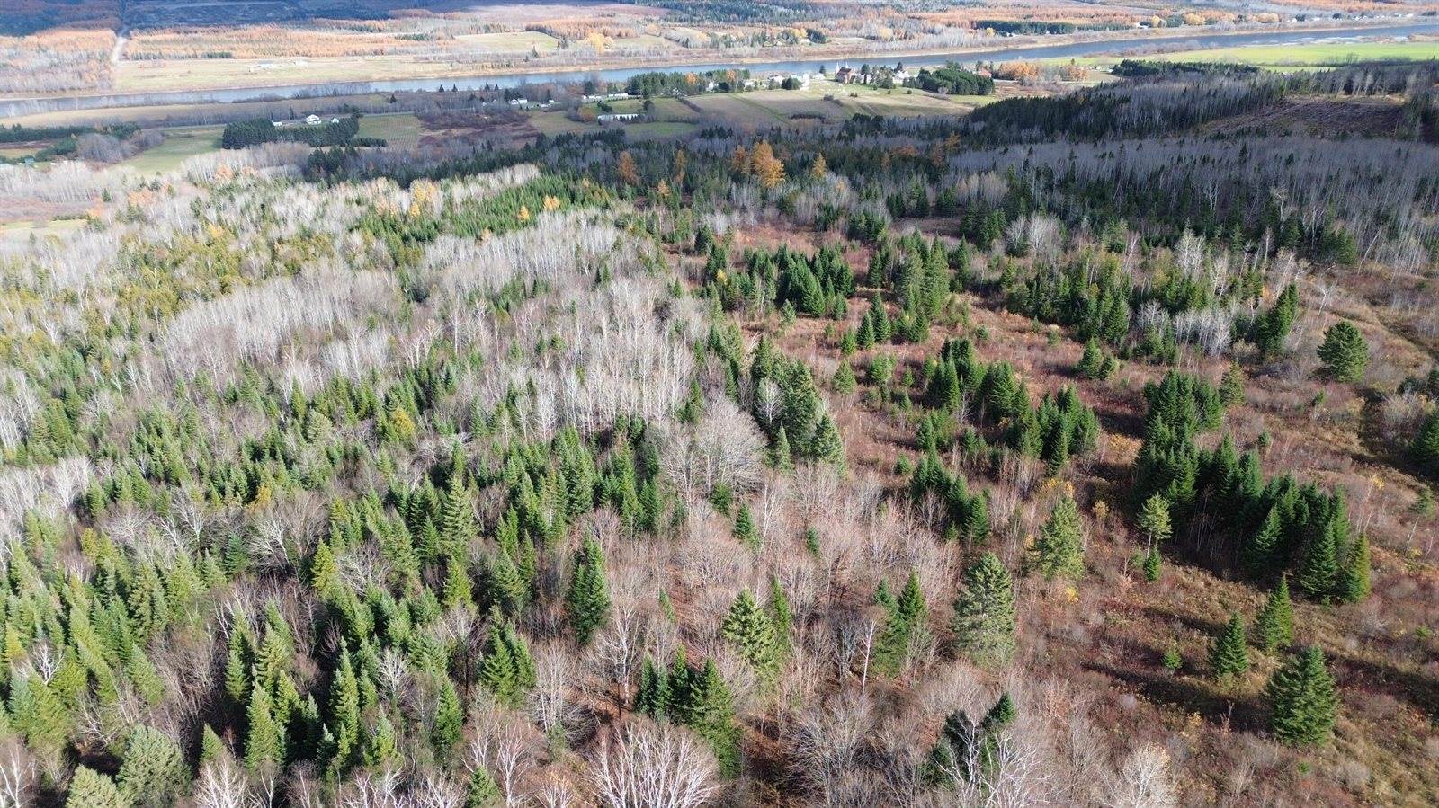 M45L10 Main Street, Grand Isle, ME 04746