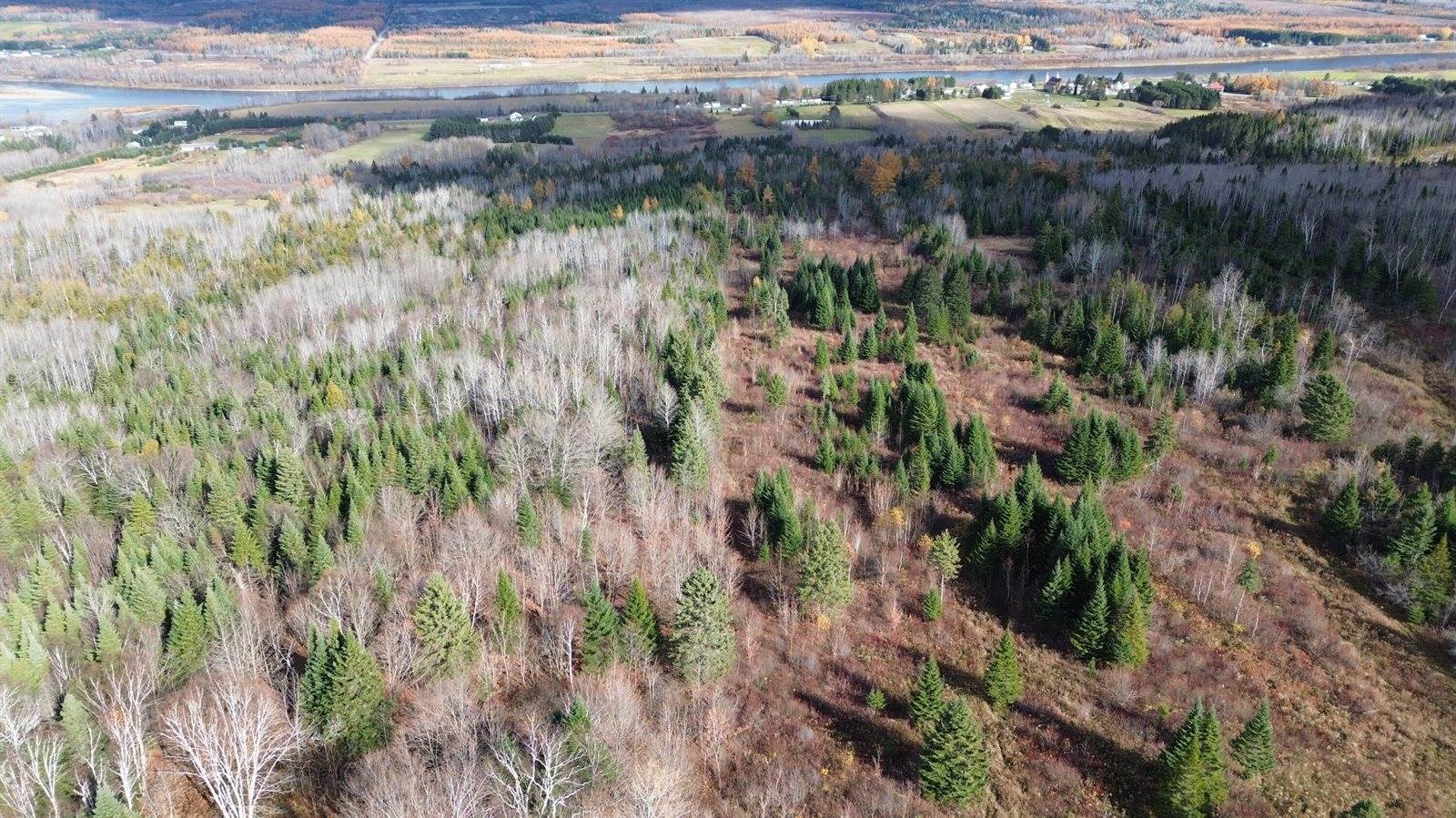 M45L10 Main Street, Grand Isle, ME 04746