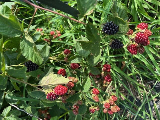 1588 Pond Road, Mount Vernon, ME 04352