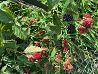 1588 Pond Road, Mount Vernon, ME 04352